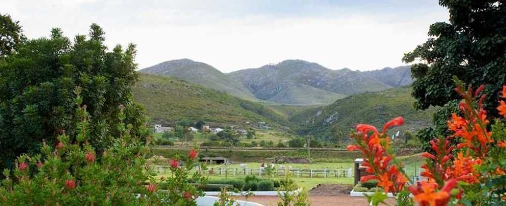 Assegaaibosch Country Lodge Kareedouw Bagian luar foto